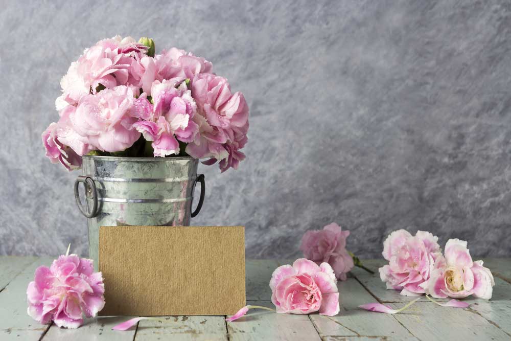 Carnation and Snowdrop for the January Born