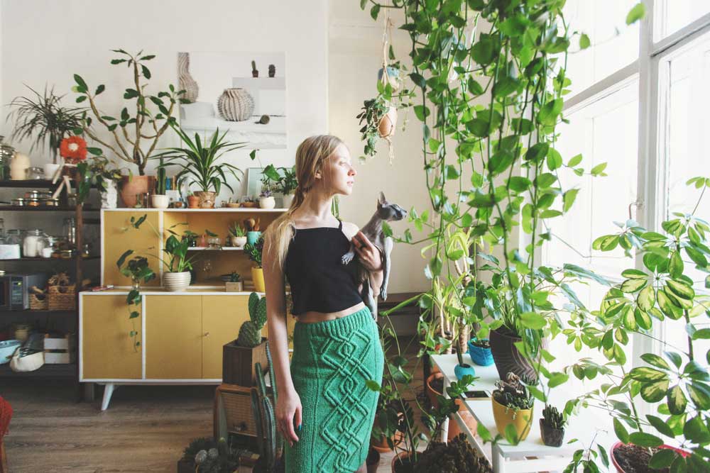 How to take care for Your Indoor Plants in Winter | 800 Flower Dubai