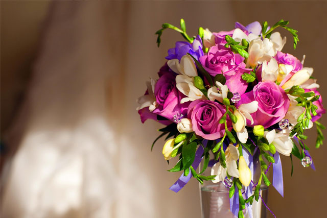 The Cheapest Flowers in the World | 800 Flower Dubai