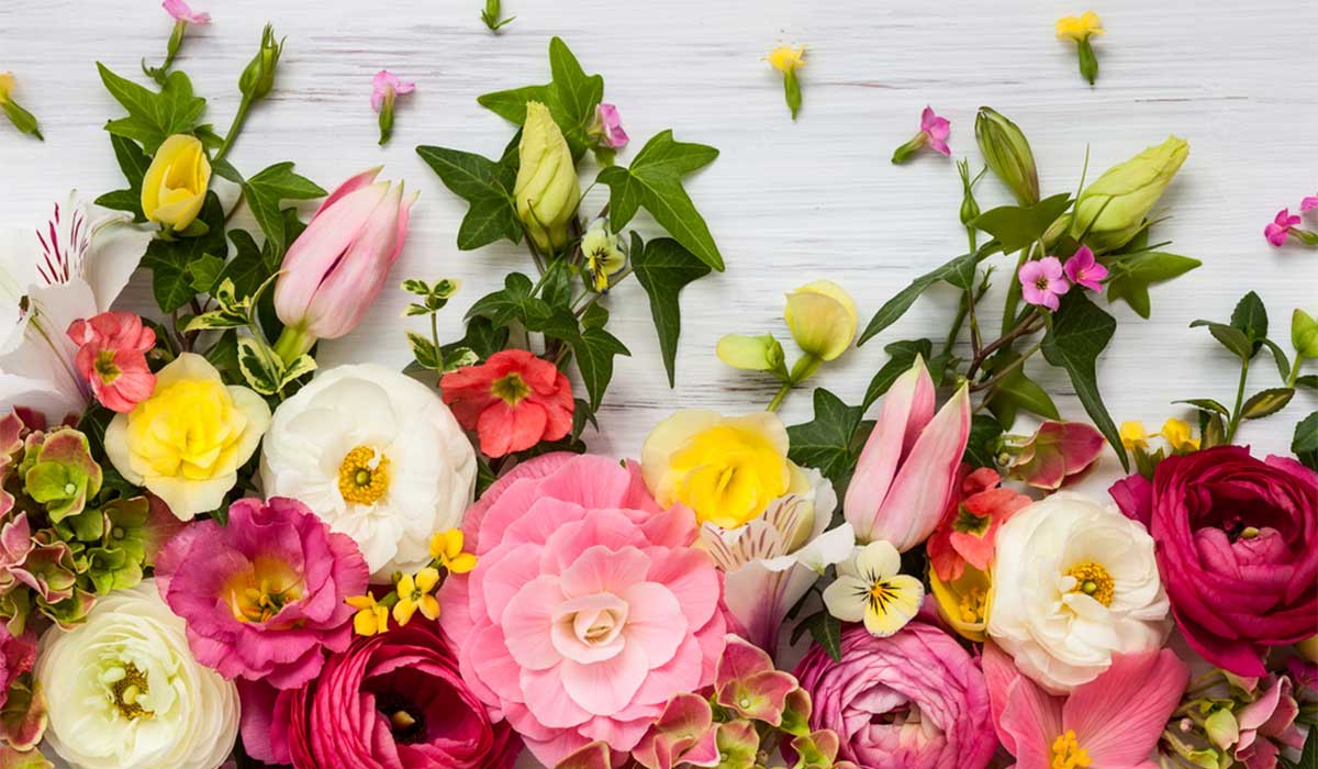 Top 5 Spring Flowers | 800 Flower Dubai