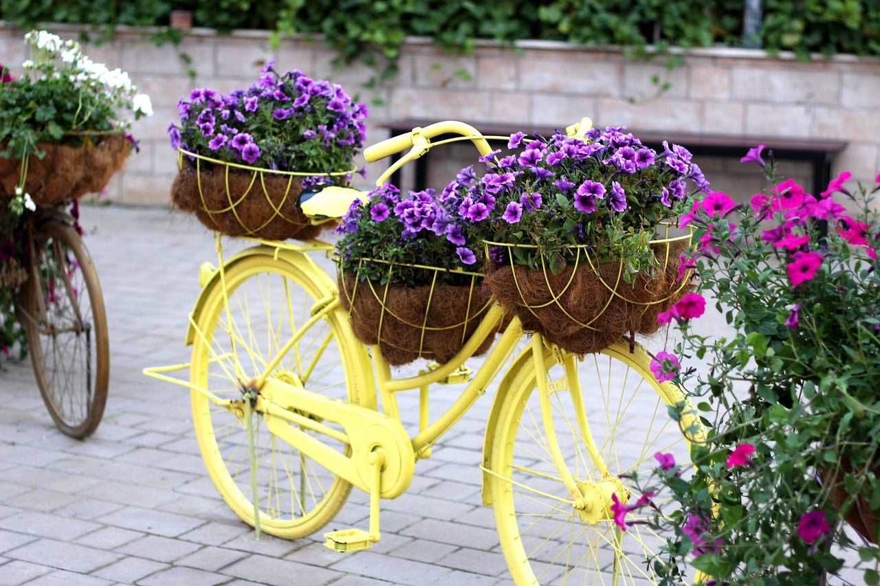 Flower Power in Dubai: Swift and Spectacular Deliveries by 800 Flower