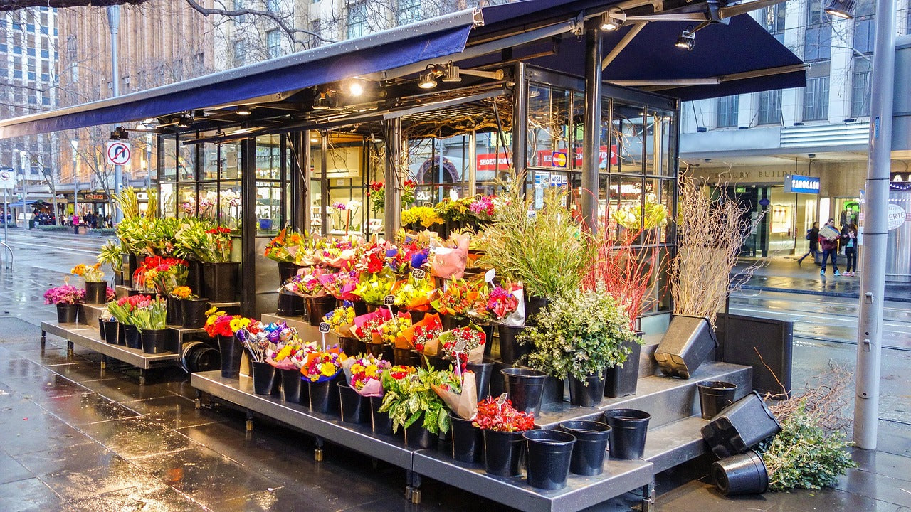 The Top 10 Flower Varieties Perfect for Dubai's Climate | 800 Flower