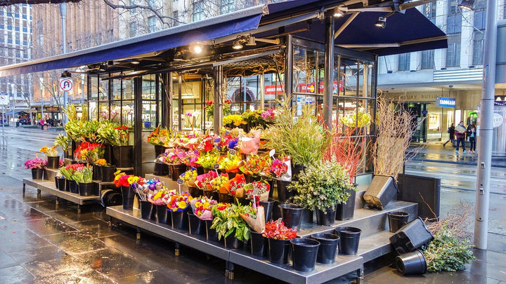 The Top 10 Flower Varieties Perfect for Dubai's Climate | 800 Flower