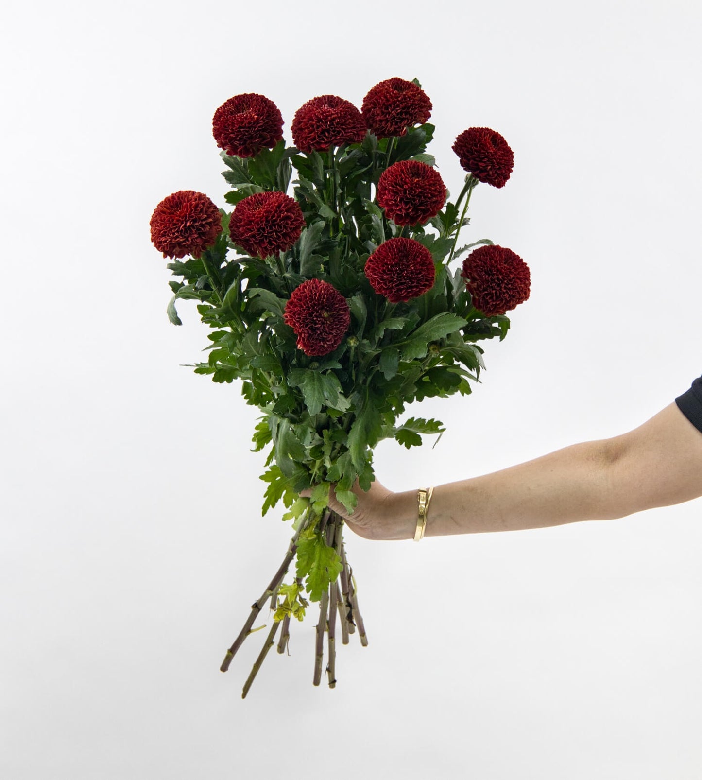 10 Stem Chrysanthemum Ping Pong Purple