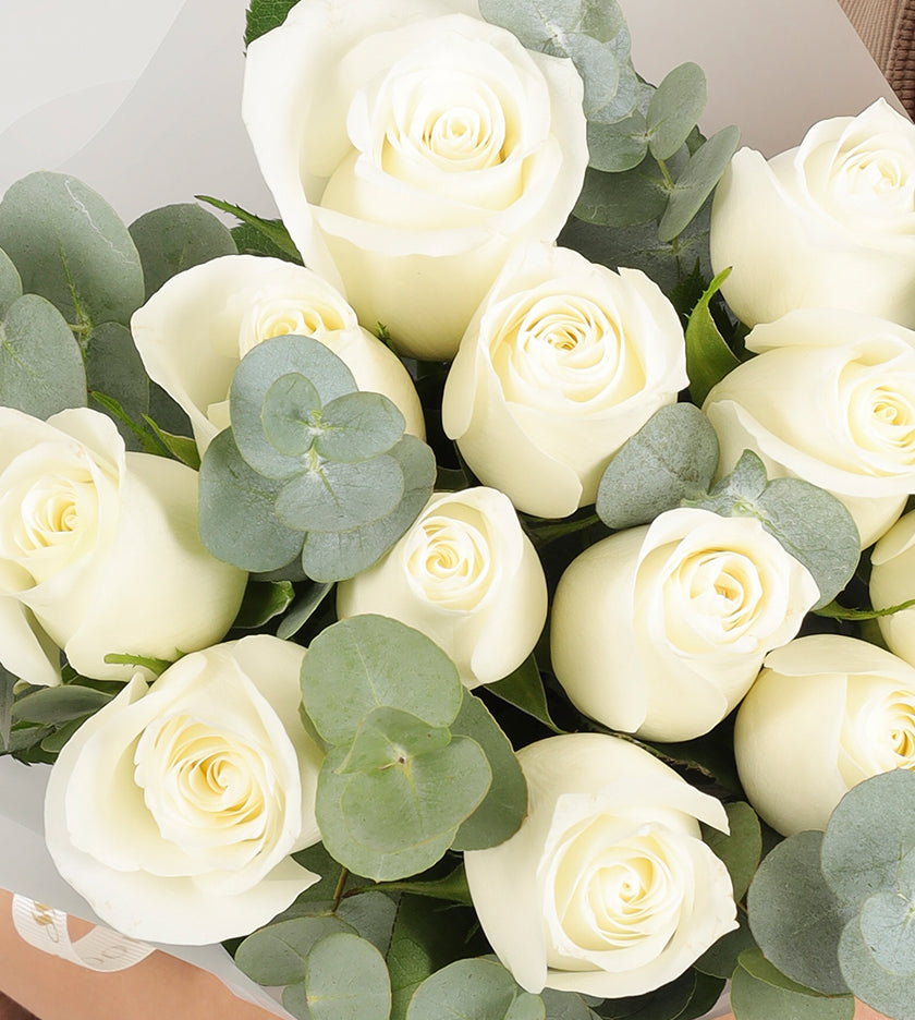 12 White Roses