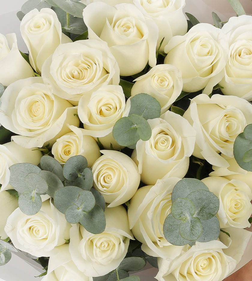 24 White Roses