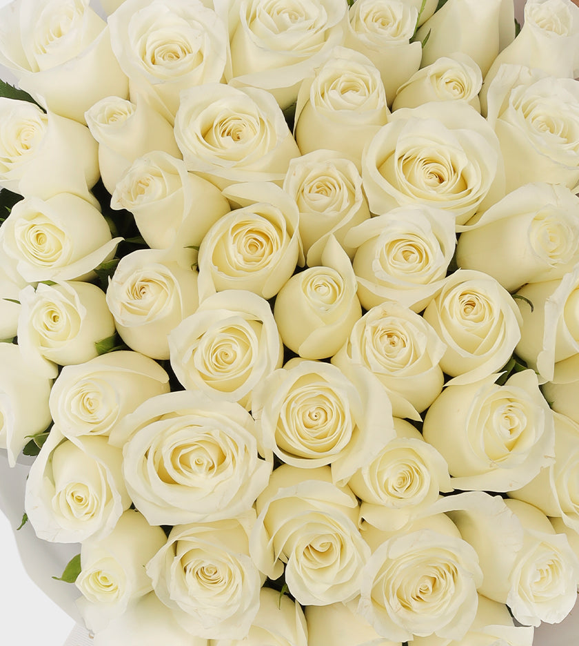 50 White Roses