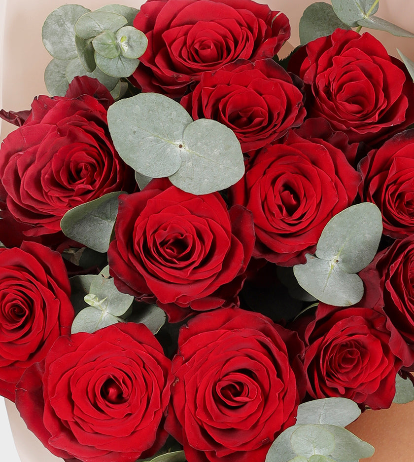 12 Red Roses