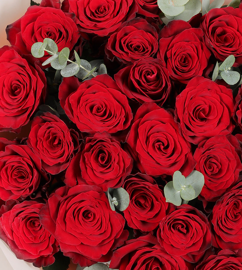 24 Red Roses