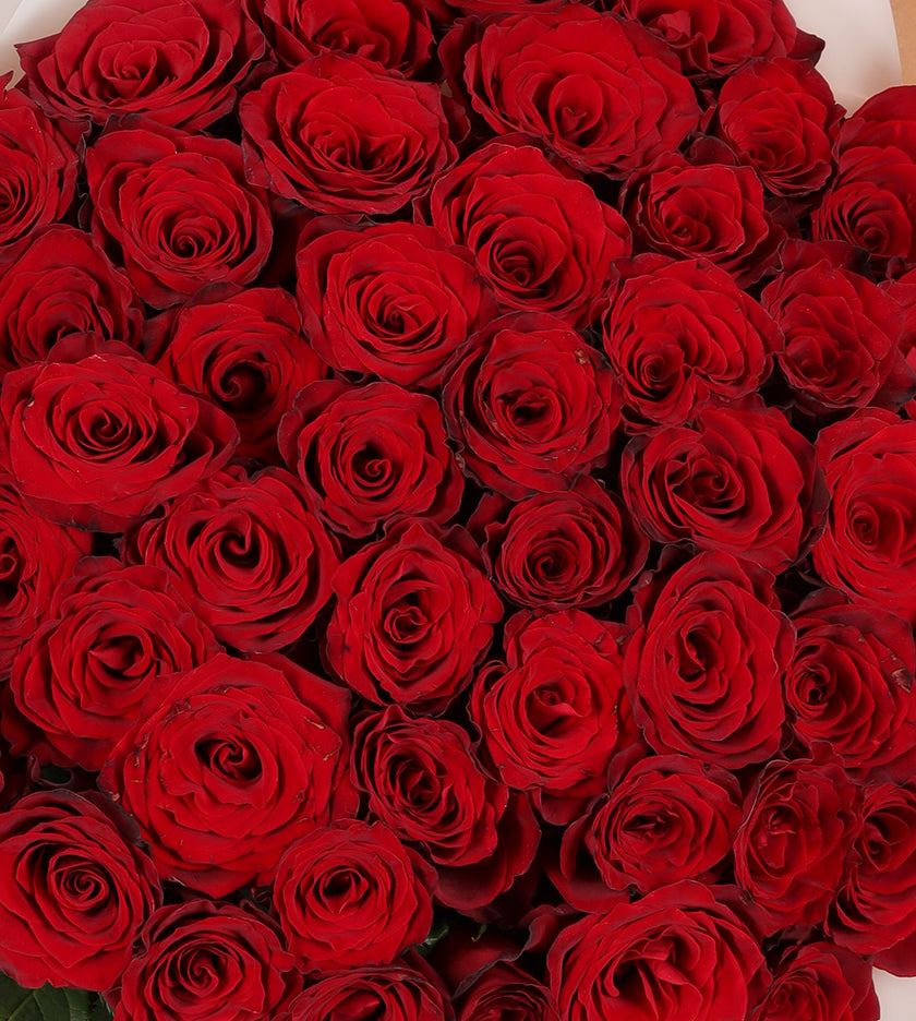 50 Red Roses