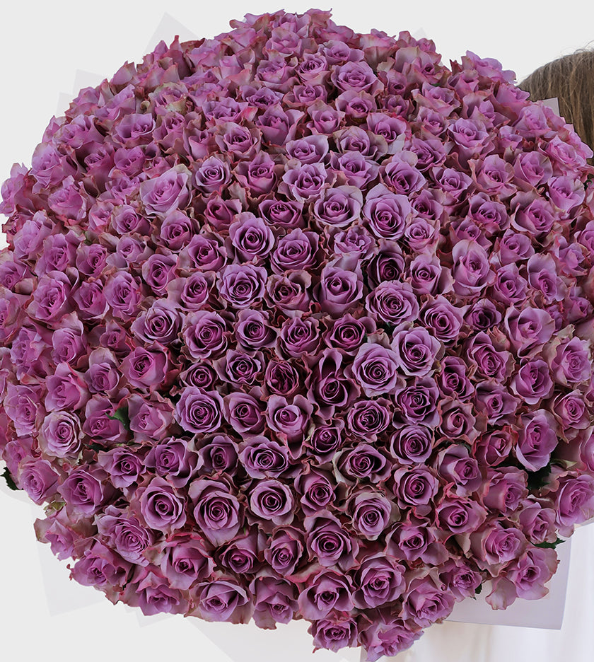 Embrace luxury with our 200 purple blooms of elegance, mystery, and admiration. A lavish statement for any occasion.