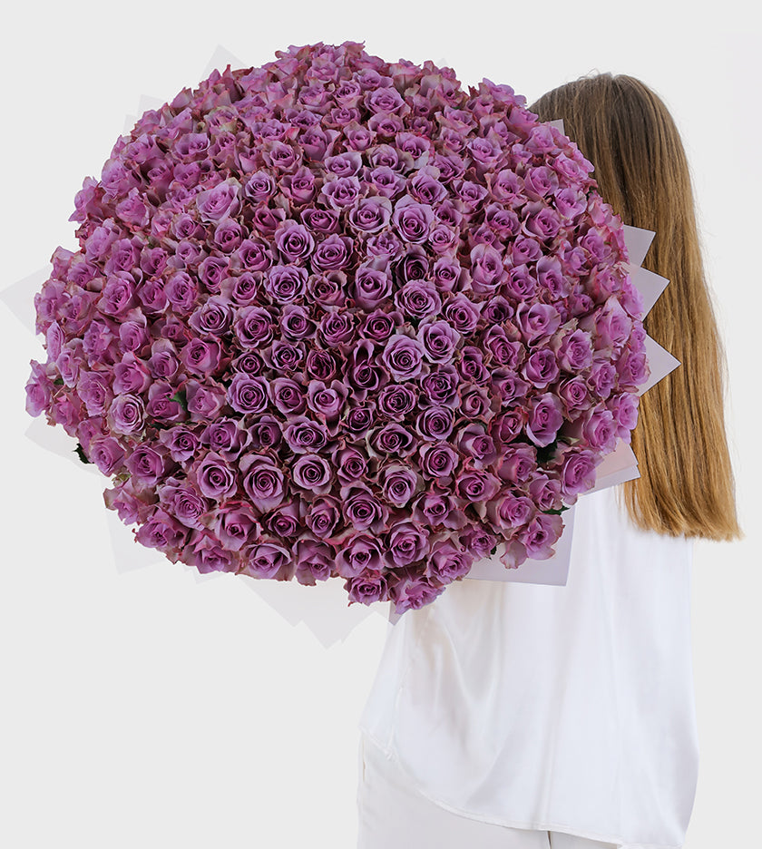 200 Purple Roses