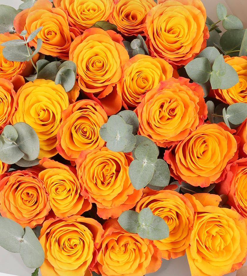 24 وردة برتقالية