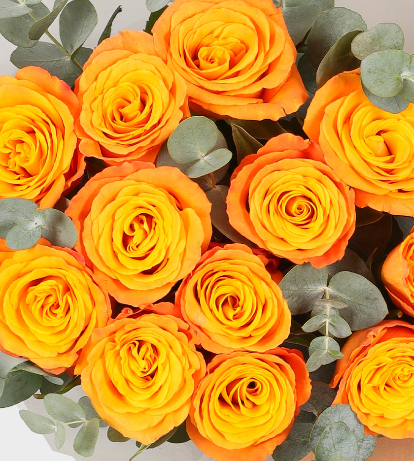 12 Orange Roses