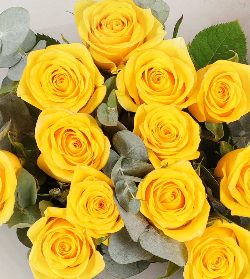 12 Yellow Roses