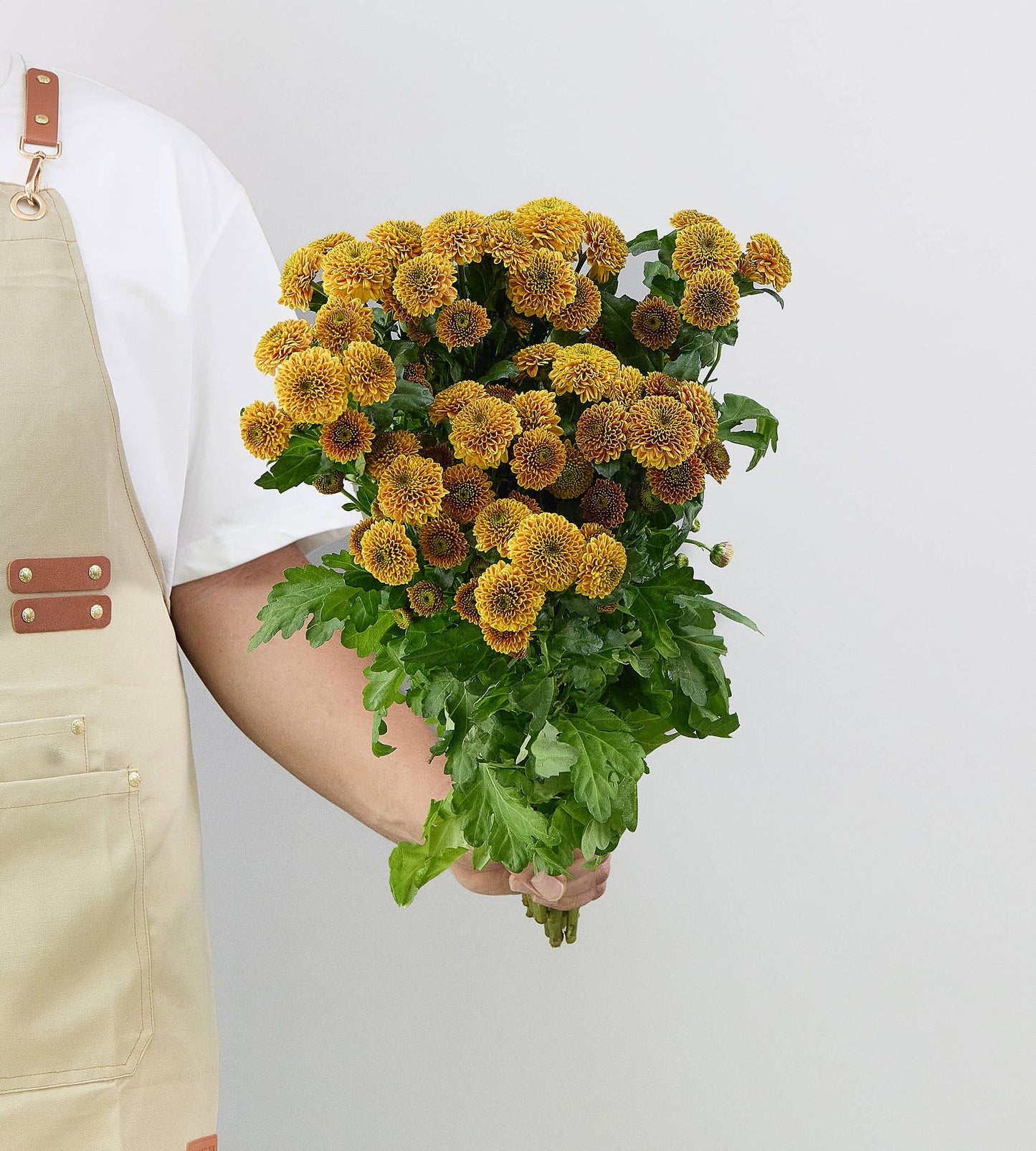 25 Stem Chrysanthemum Doria Orange