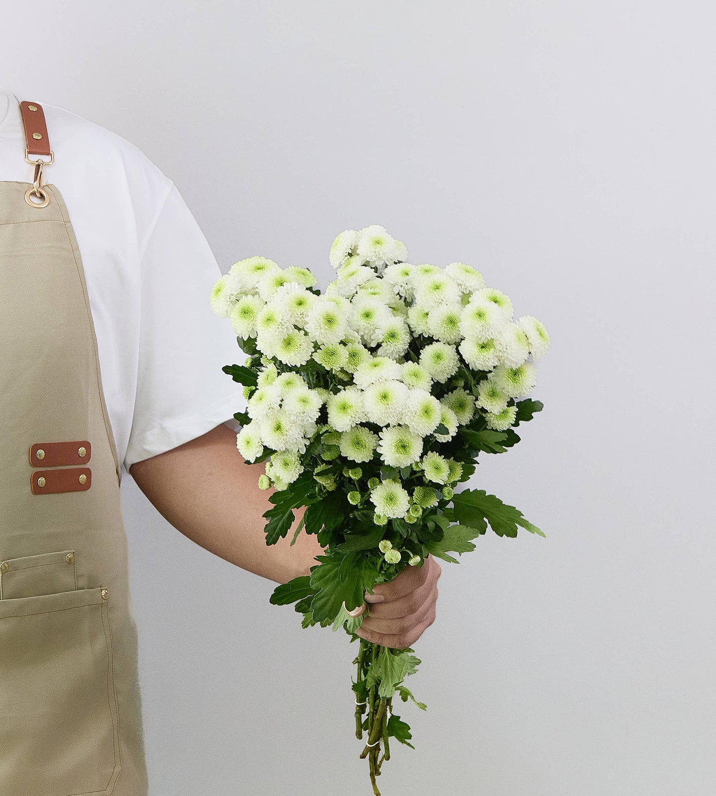 25 Stem Chrysanth Santini Ferry