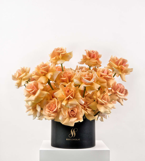 Orange roses in a round box, perfect gift for joy and friendship.