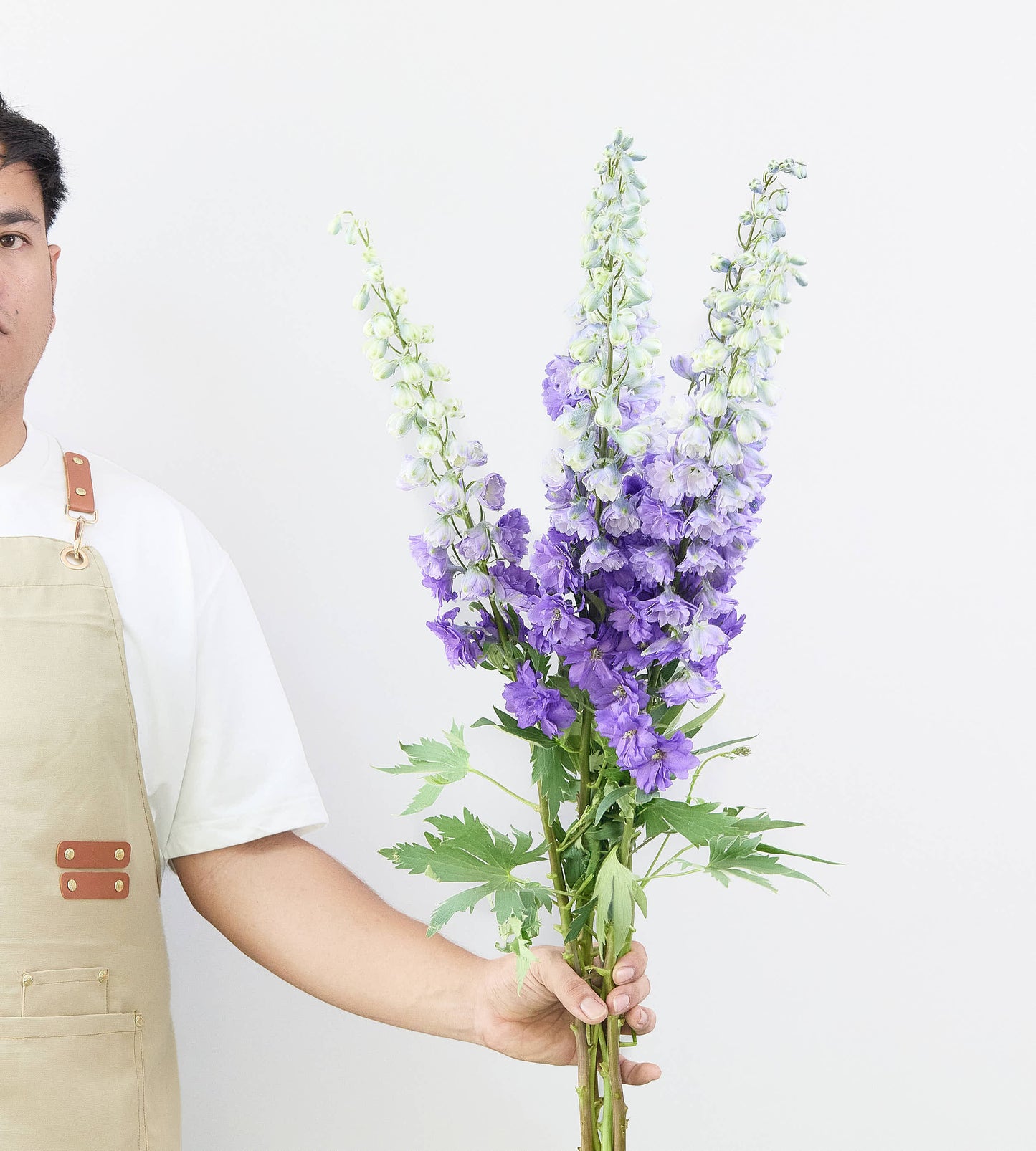 10 Stem Delphinium Purple Heart 90cm