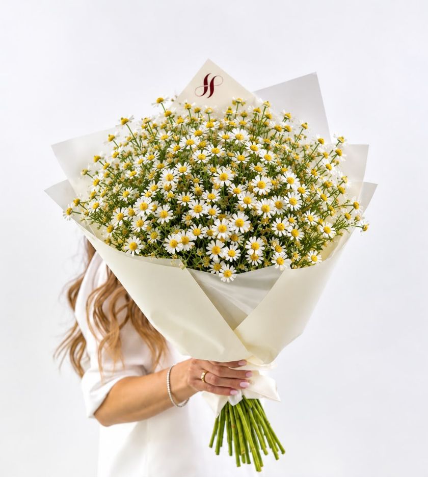 سحر البابونج