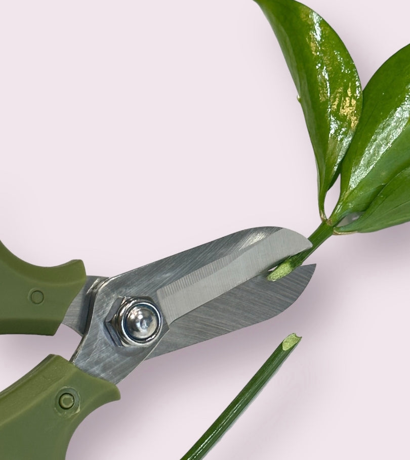 Floral Scissors