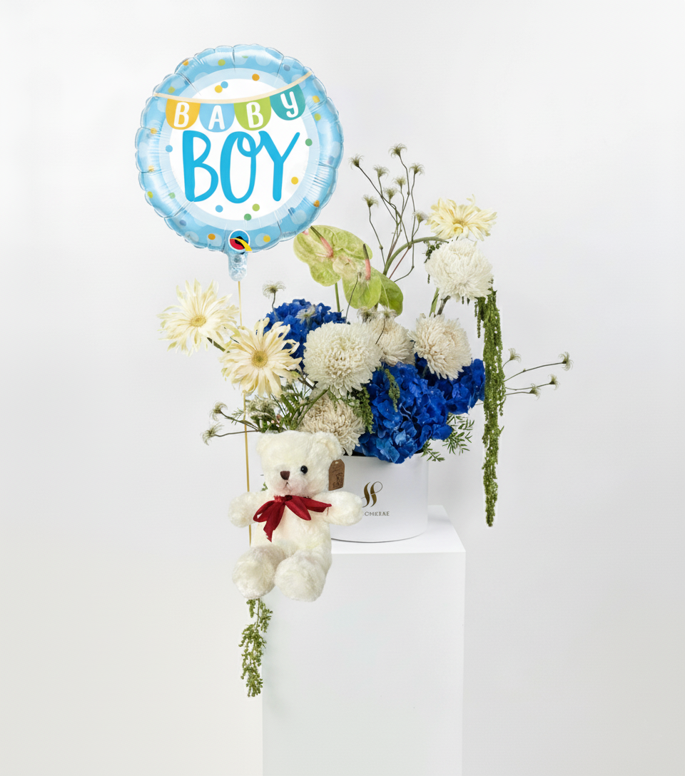 Celestial Drift Baby Boy Bundle