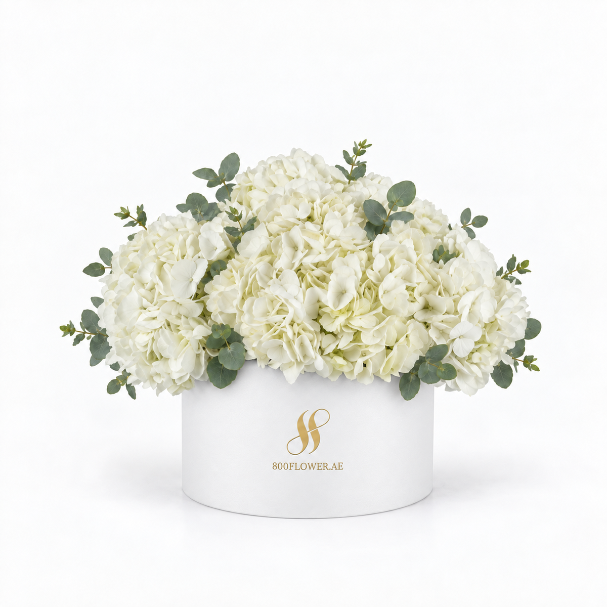 White Hydrangea Medium Round Box