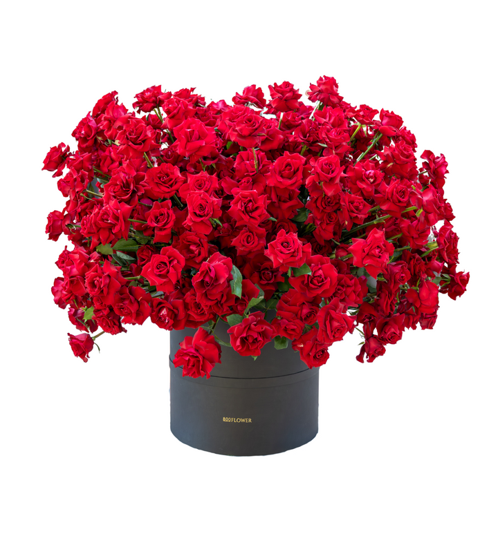 Bold red rose arrangement in a black hatbox, symbolizing deep love and elegance.