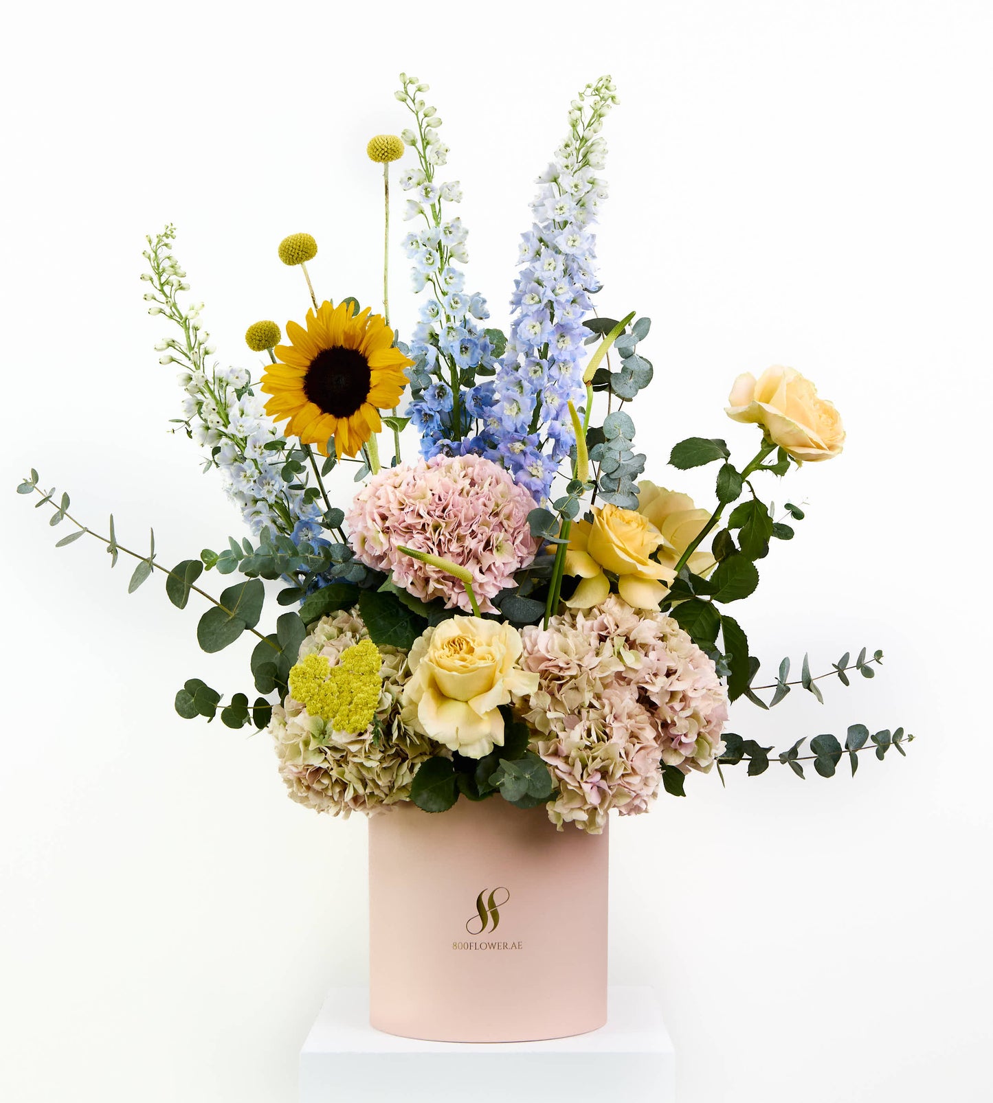 Bouquet of golden gerberas, blush orchids, and crimson anthuriums.