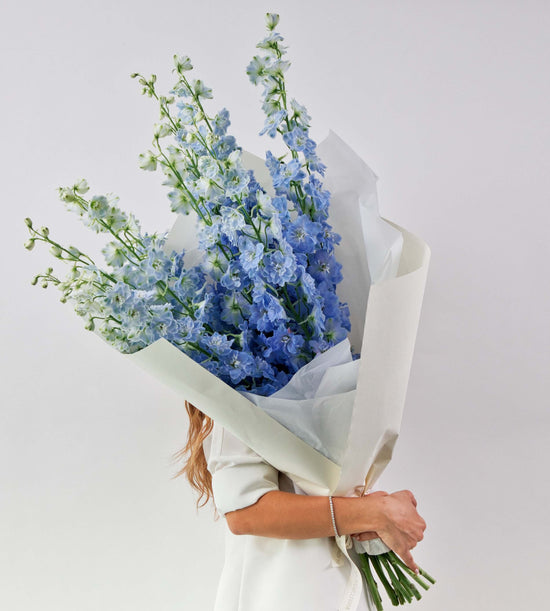 Soft blue and white delphinium flowers in an elegant and serene arrangement.