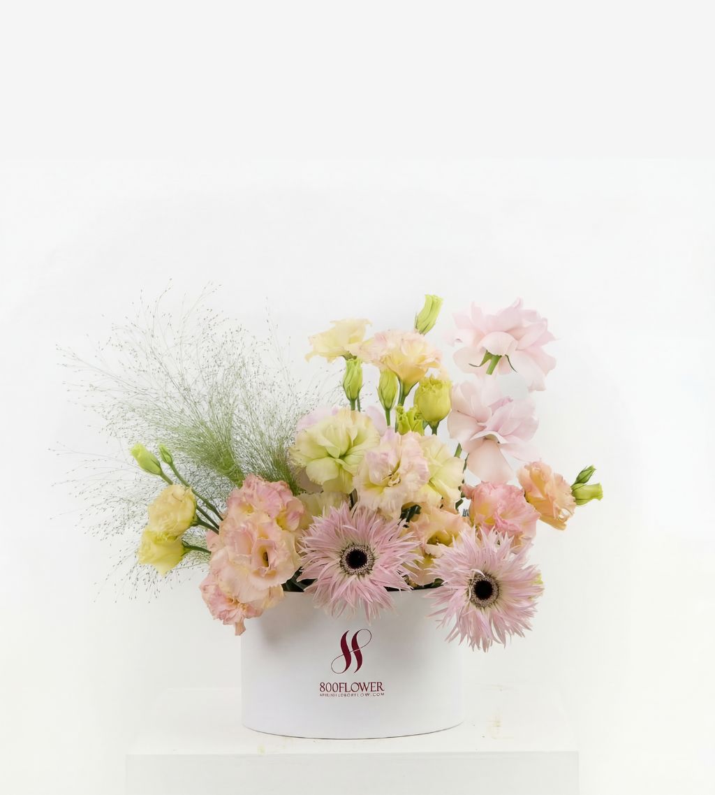 Мягкое сияние