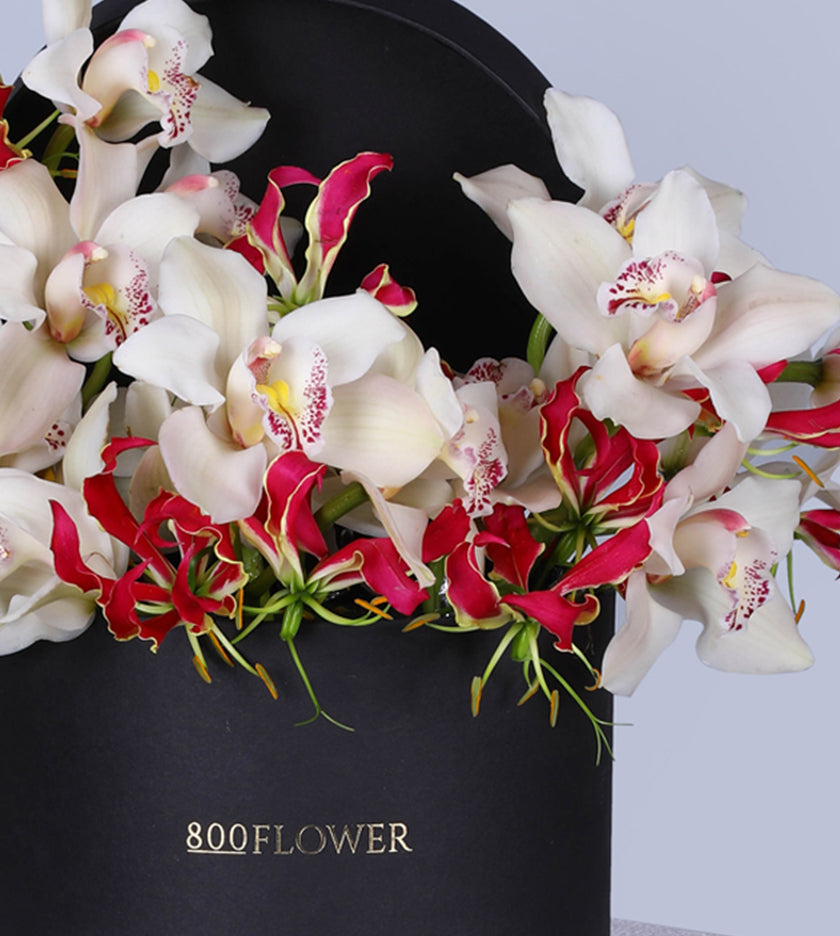 Gloriosa Box Arrangement