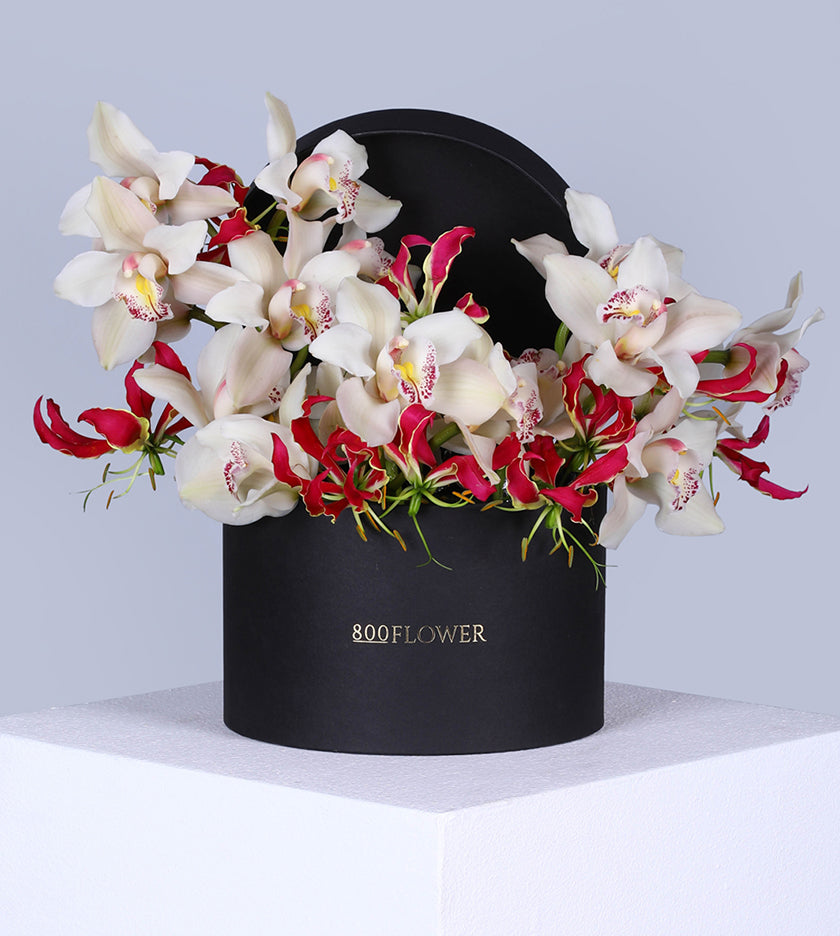 Gloriosa Box Arrangement