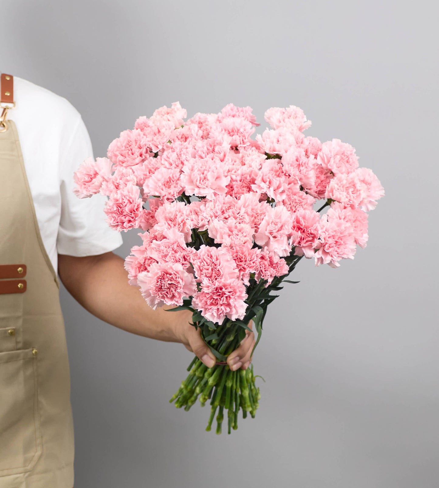 25 Stem Carnation Doncel