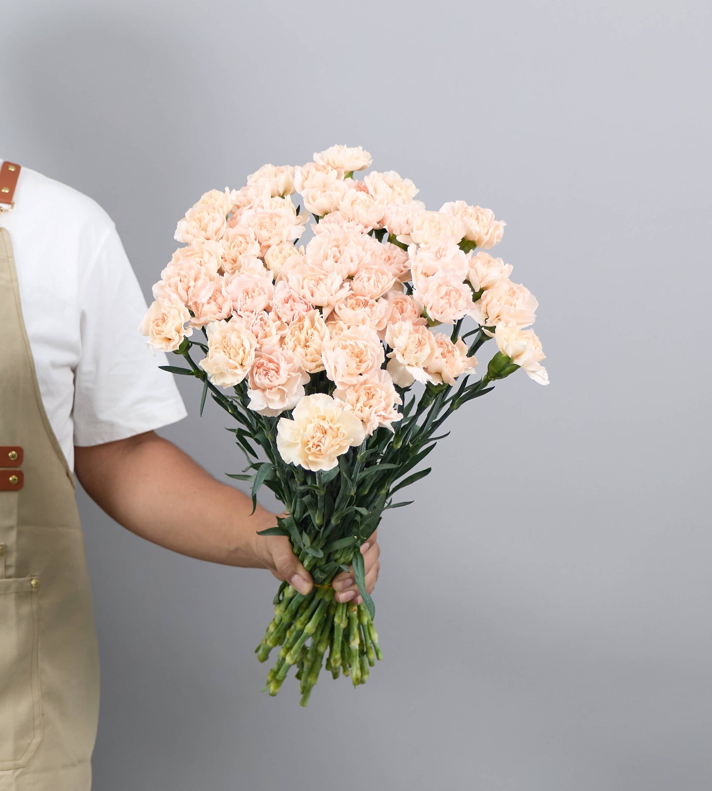 25 Stem Carnation Lizzy