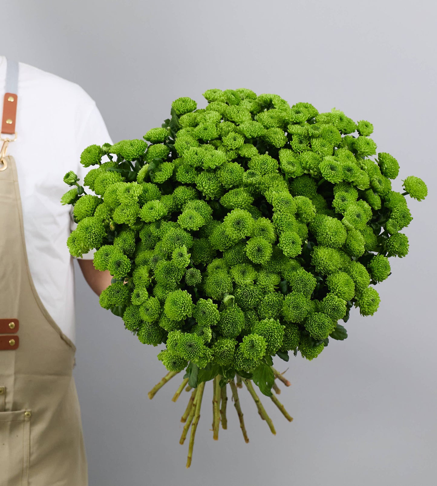 25 Stem Chrysanthemum Santini Country