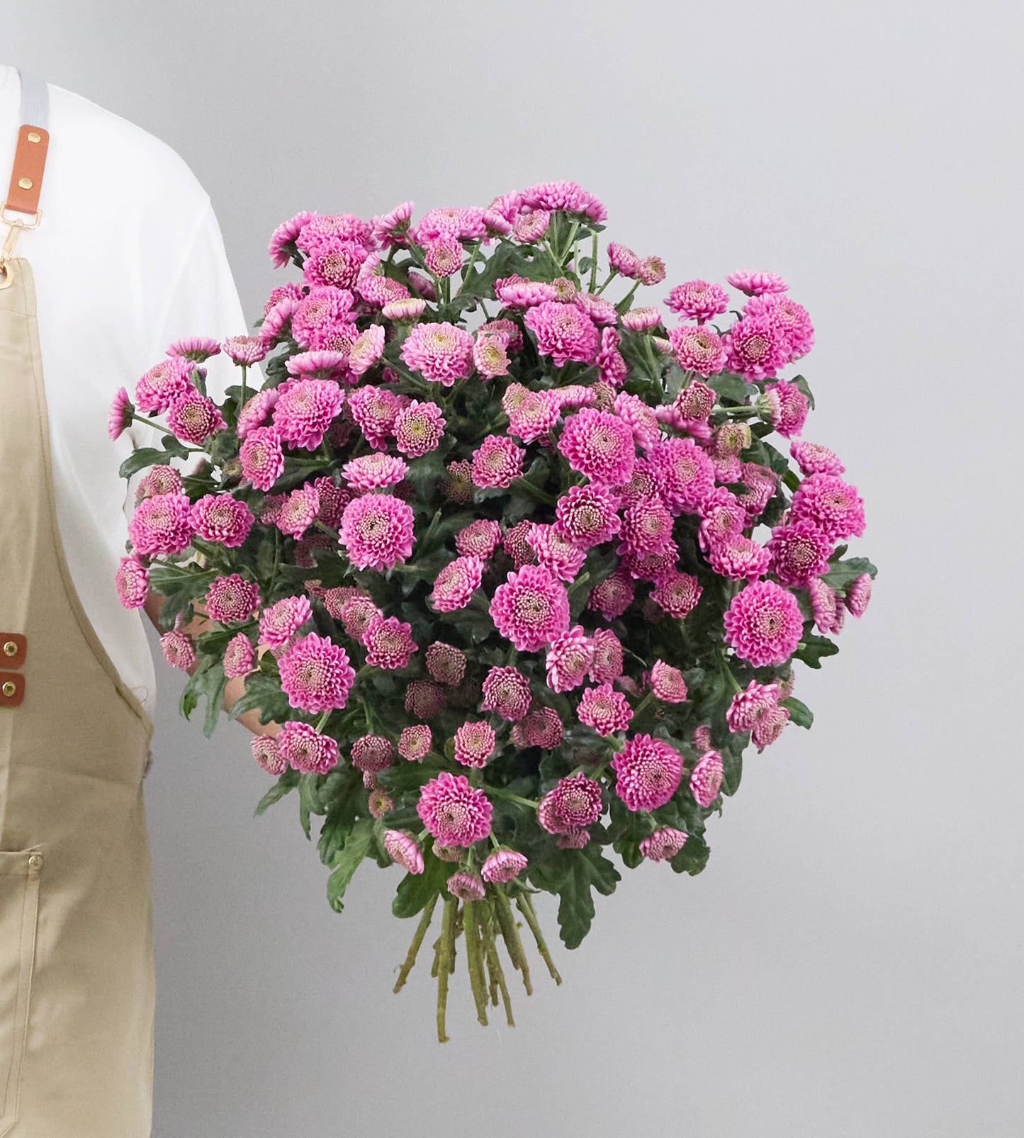 25 Stem Chrysanthemum S Ellison Pink