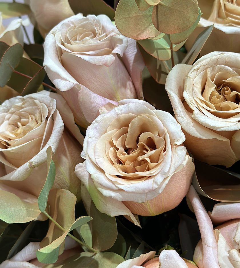 Dune De Sable Box Arrangement