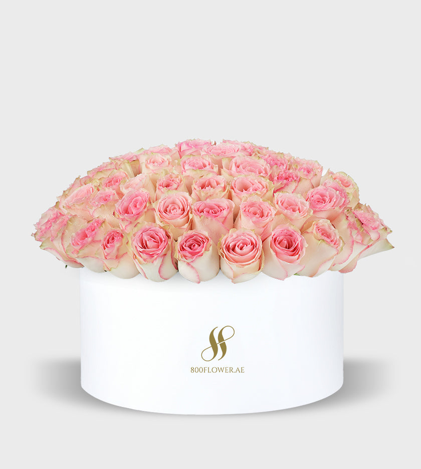 Pink Roses Small Round Box with 70 romantic pink roses, beautifully arranged to symbolize affection, admiration, and heartfelt emotions.