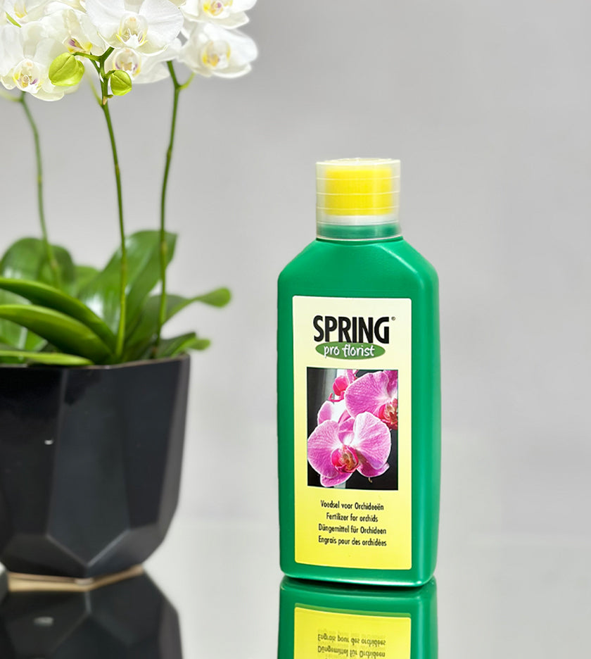 Fertilizer for orchids and acid-loving plants – enhances leaf color, blooms, and root strength, suitable for regular use