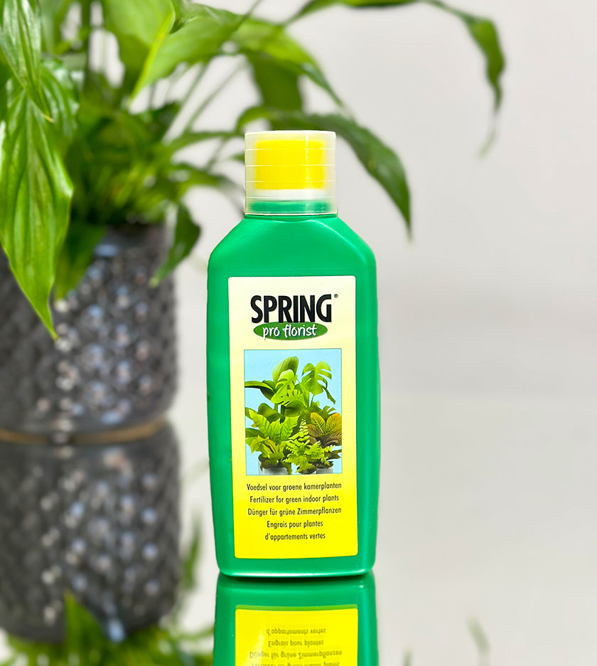 Spring liquid fertilizer for indoor and outdoor plants – promotes healthy green growth, easy to mix with water
