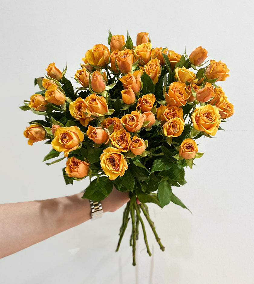 Saffron Smile Spray Roses