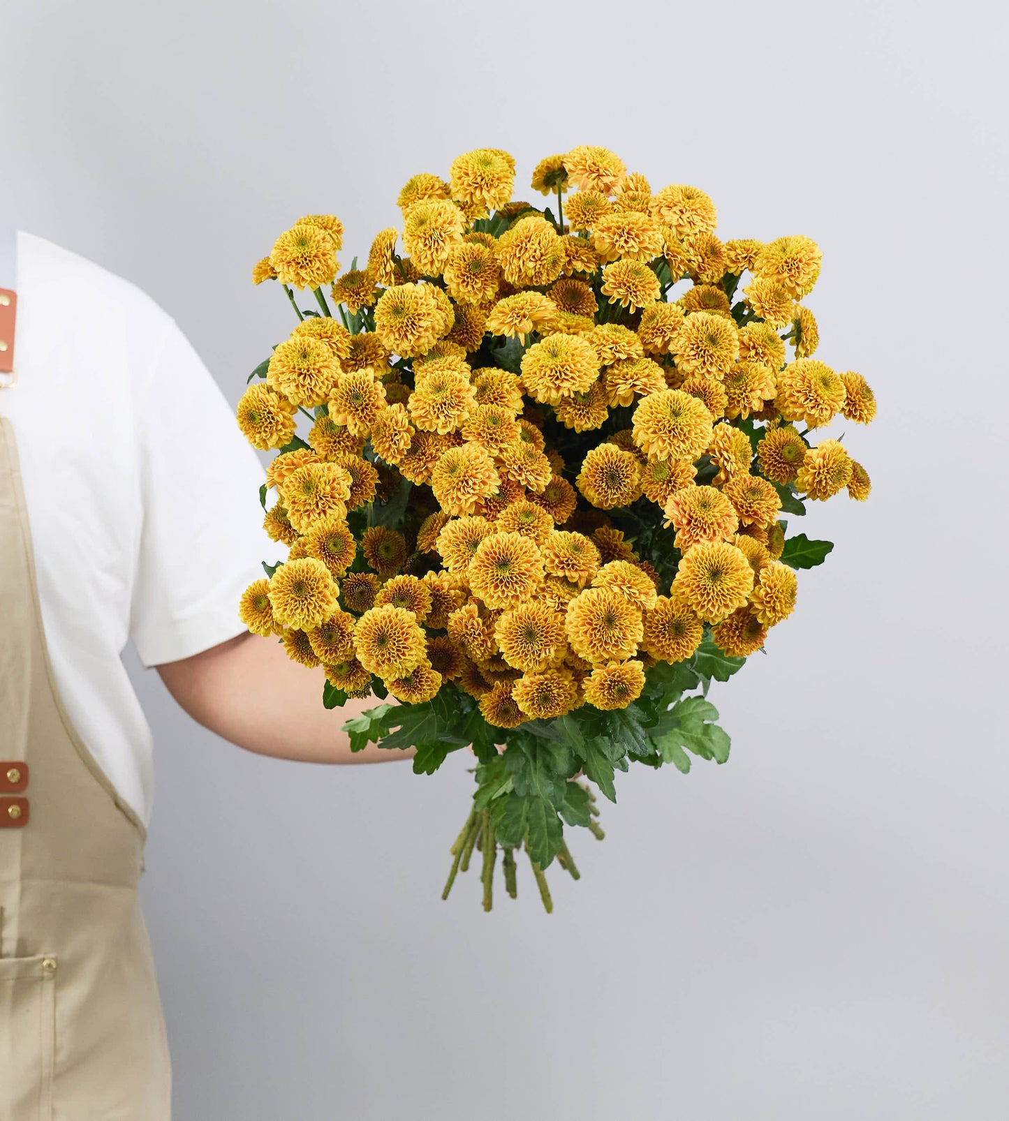 25 Stem Chrysanthemum Doria Orange