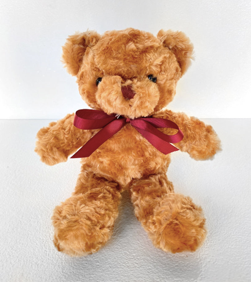 Dark Brown Teddy Bear