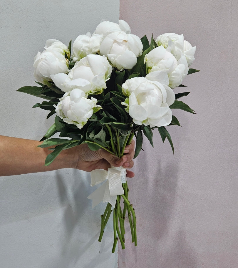 10 White Peonies