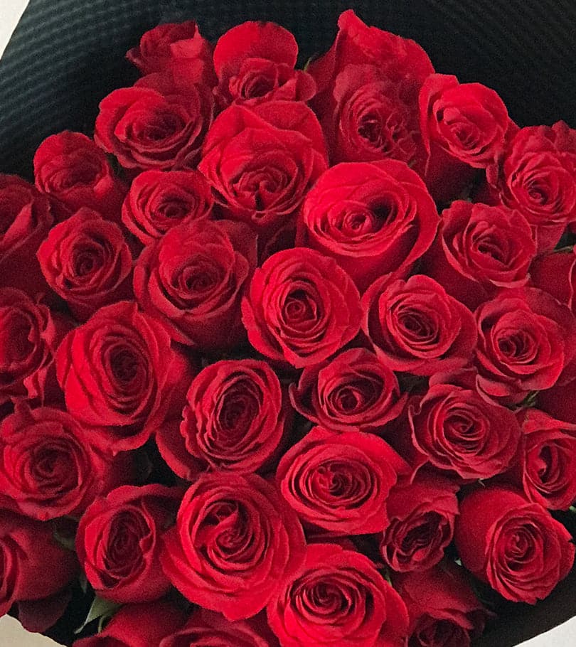 36 Red Roses