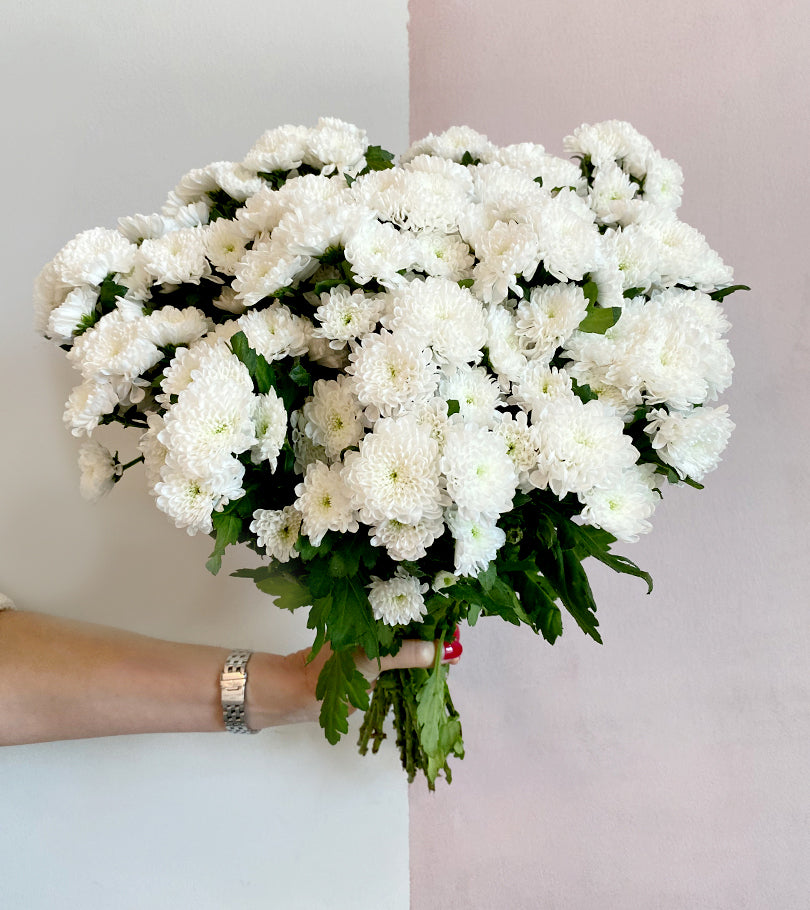 25 Stems of White Mini Chrysanthemums