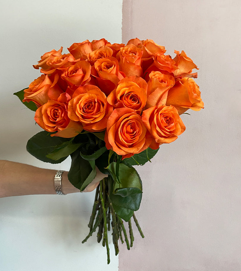 20 Orange Premium Roses