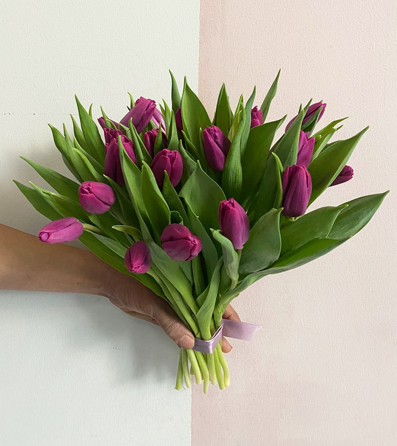 Purple Tulips