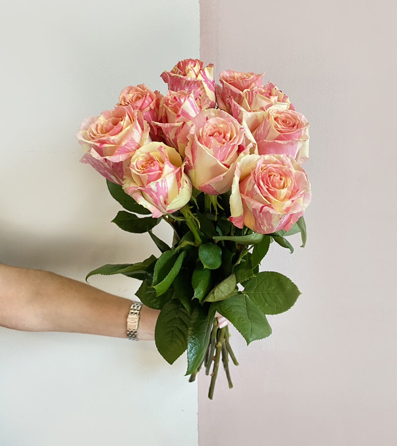 10 Duo Colored Premium Roses